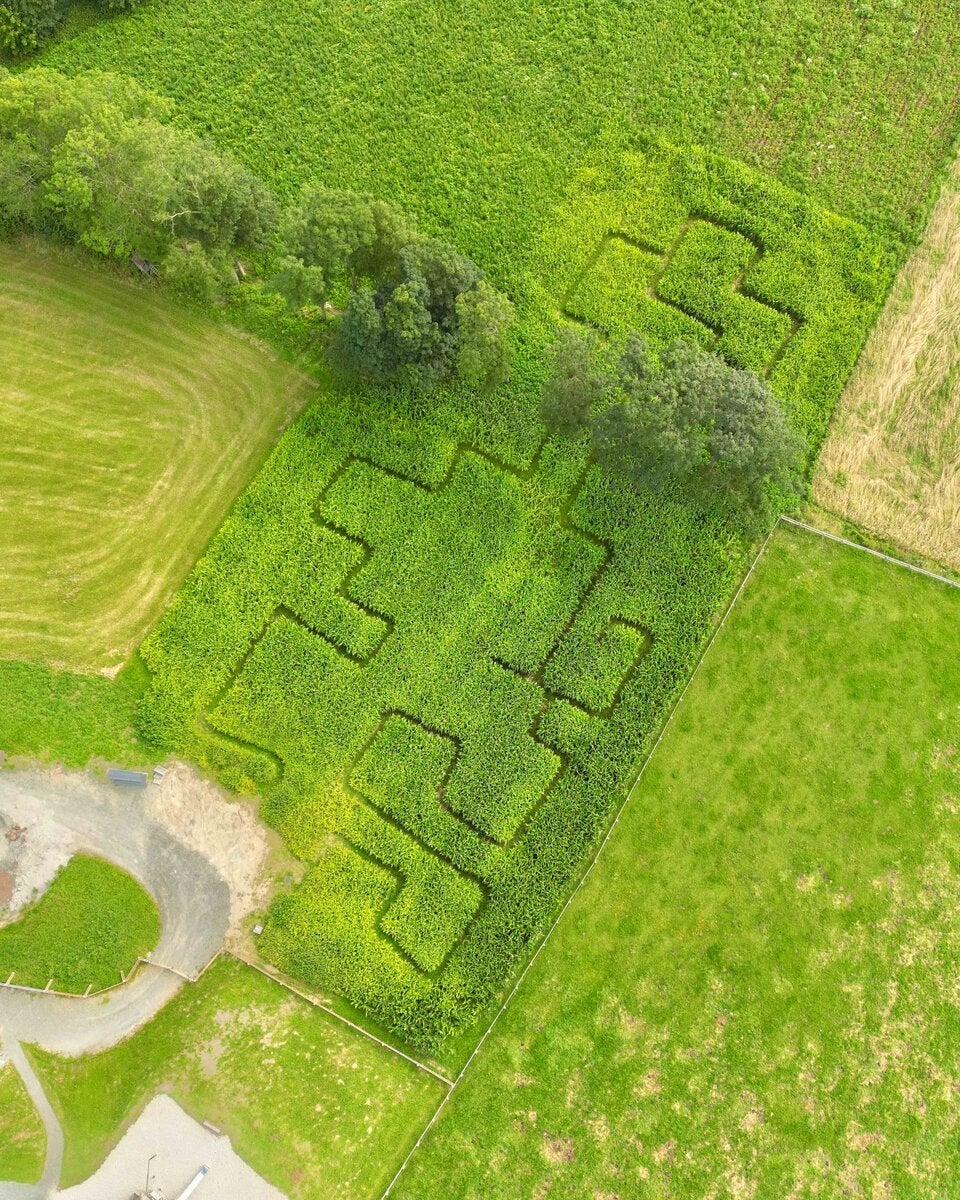 Krumbach hat jetzt ein Maislabyrinth