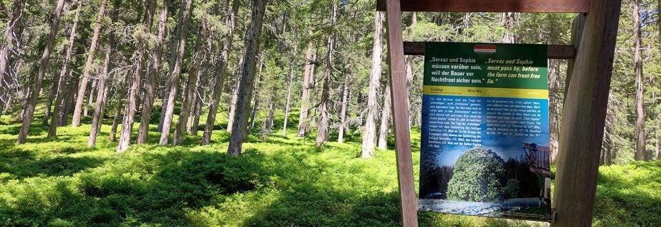 Frühlingswanderungen in Österreich: 7 Touren für das lange Osterwochenende