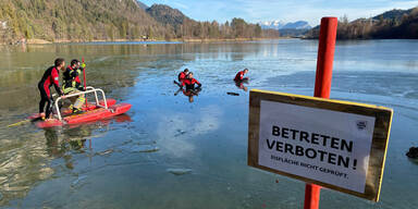 Tier-Drama: Bulldogge ertrinkt bei Rettungsaktion in See