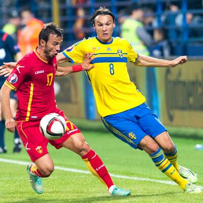 Ibrahimovic (fraglich)