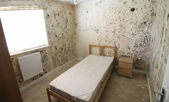 Jam Press/Charles Harding