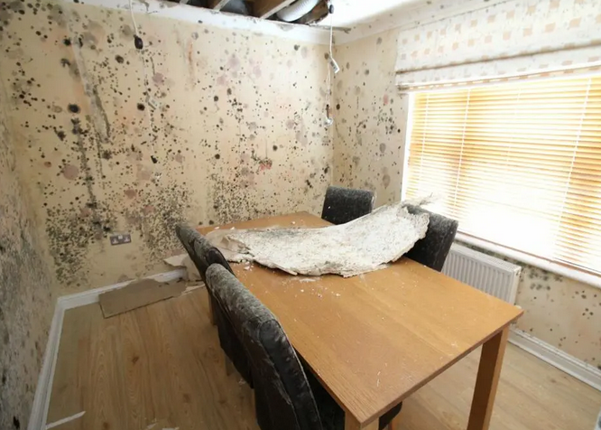 Jam Press/Charles Harding