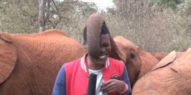 Alvin Kaunda/Storyful