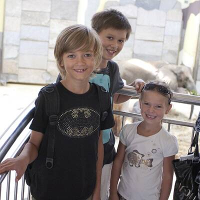 Erste Fotos vom Elefantenbaby