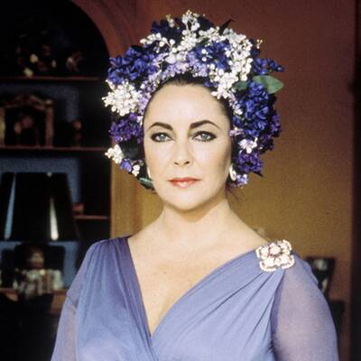 Das Leben der Elizabeth Taylor