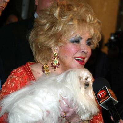 Das Leben der Elizabeth Taylor