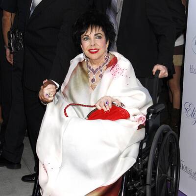 Das Leben der Elizabeth Taylor