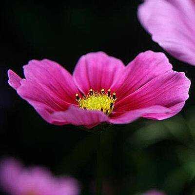 Die schönsten Urlaubsfotos