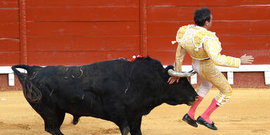 Stier rammt Matador Horn in den Hintern