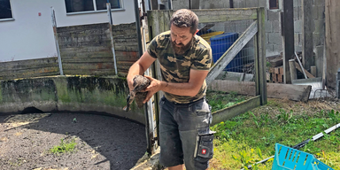Ente sa&szlig; 3 Wochen in G&uuml;lle-Grube fest &ndash; endlich befreit