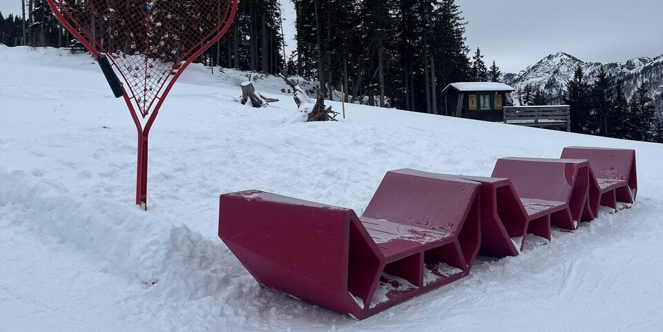 Wiener MQ-Enzis zieren Berggipfel und Weltstädte