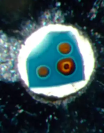 Steve Jacobsen / Northwestern University