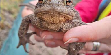 Demonstration f&uuml;r Amphibien-Tunnel in Hernals