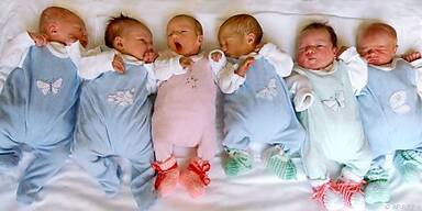 Erste Lebensphase pr&auml;gt die gesamte Entwicklung