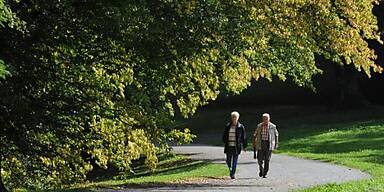 Es empfehlen sich regelmäßige Spaziergänge