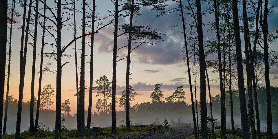 Europas nordisches Paradies