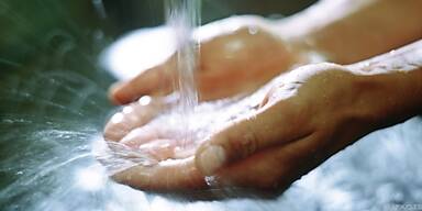 Etablierte Einrichtungen sch&auml;rfen Qualit&auml;t