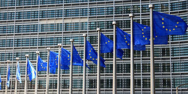 EU-Rüge an Österreich wegen Türken-Rechte
