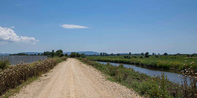 Migrantin an griechisch-t&uuml;rkischem Grenzfluss Evros erschossen