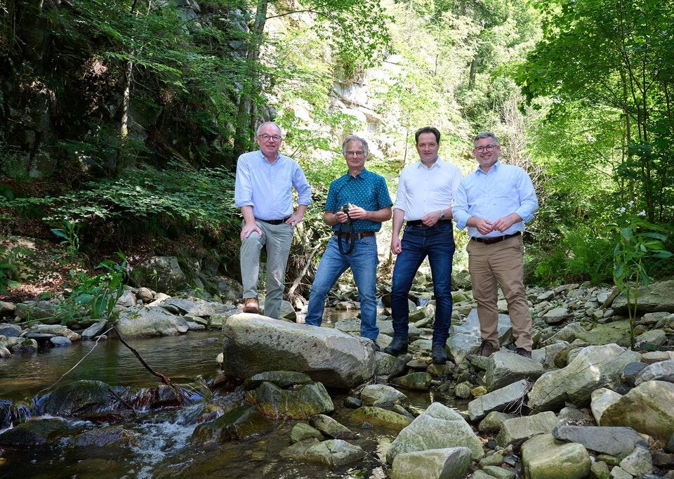 Nationalpark Kampwald