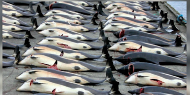 F&auml;r&ouml;er Inseln 2 obb.PNG