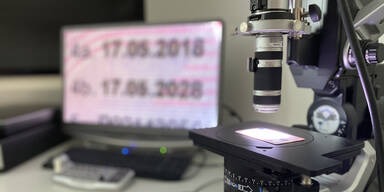 Polizei hebt F&auml;lscher-Werkstatt f&uuml;r F&uuml;hrerscheine aus