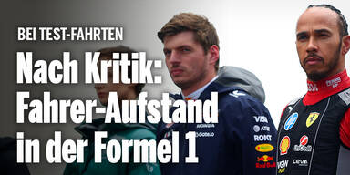 Verstappen Hamilton Norris