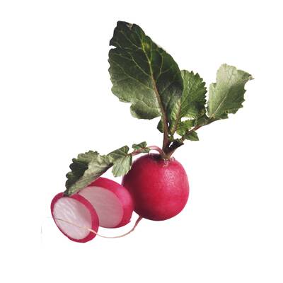 Lebensmittel ohne Kohlenhydrate