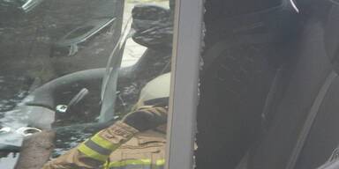 Mit Federk&ouml;rner eingeschlagen