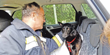 Frauchen stürzte 9 Meter in Brunnen