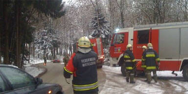 6 Verletzte bei Frontalcrash im Mostviertel