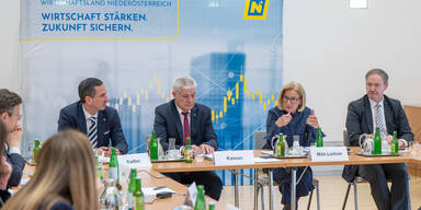 Nieder&ouml;sterreich setzt auf Gesundheits-Boom: Milliarden-Plan f&uuml;r die Zukunft