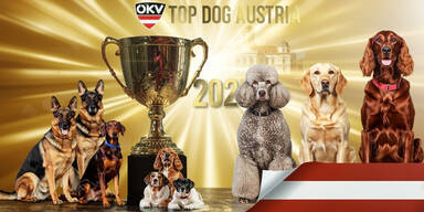 Top Dog Austria 2025: Gro&szlig;es Finale auf Schloss Laxenburg &ndash; Wer wird &Ouml;sterreichs sch&ouml;nster Hund?