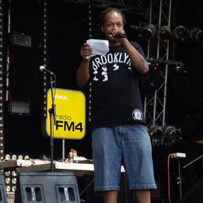 Donauinselfest 2013 - Tag 2