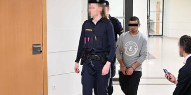 prozess steinewerfer brigittenauer br&uuml;ck