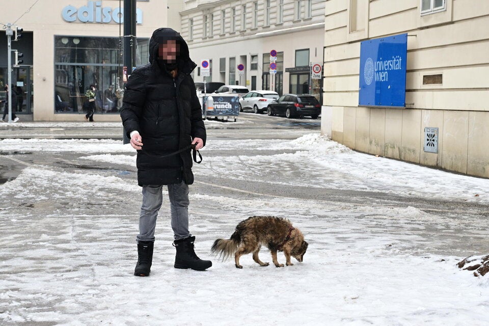 Klirrende Kälte - Glatteis in ganz Wien. 