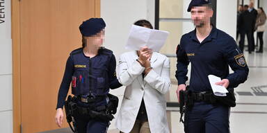 Prozess bissige Hundebesitzerin