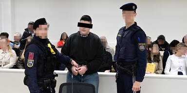 Prozess Zelle Plastiksackerl Gericht Wien