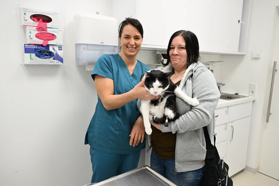 Cyberkatze Pauli Beine 3D-Drucker