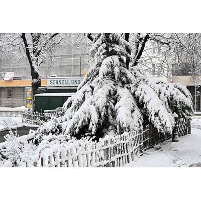 Schnee-Chaos in Wien 
