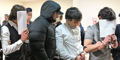 Liesinger Gang Lehrerin vergewaltigt