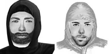 Fahndung G&auml;nserndorf