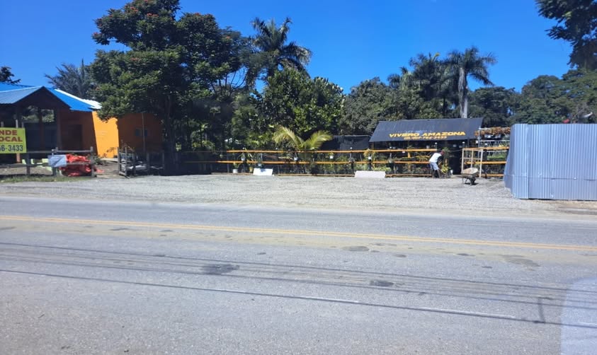 Falco: Denkmal, Tribute-Konzerte und Geburtstagssong zum 69er