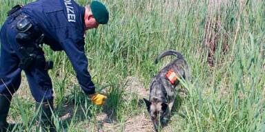 FallyFTP-LeichensucheFaG034