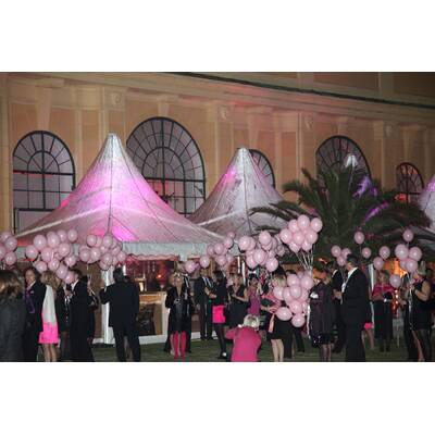 Pink Ribbon Night 2010