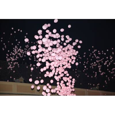 Pink Ribbon Night 2010