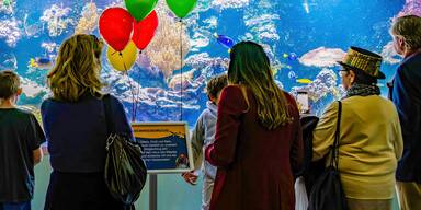 Tierischer Faschingsdienstag lockt ins Haus des Meeres