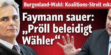 Faymann: 