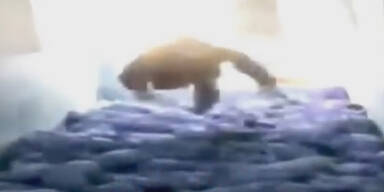 Ferkel-Mord: Mann bringt 79 Tiere um