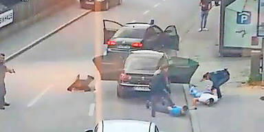 Massenschl&auml;gerei Tirol Kufstein